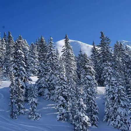 My Mountain Marthe فندق 3*